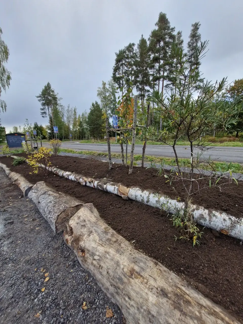 Aistimetsän kasvivalli — Kuvia projektista 3