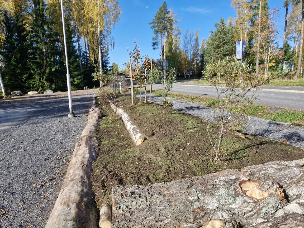 Aistimetsän kasvivalli — Kuvia projektista 2