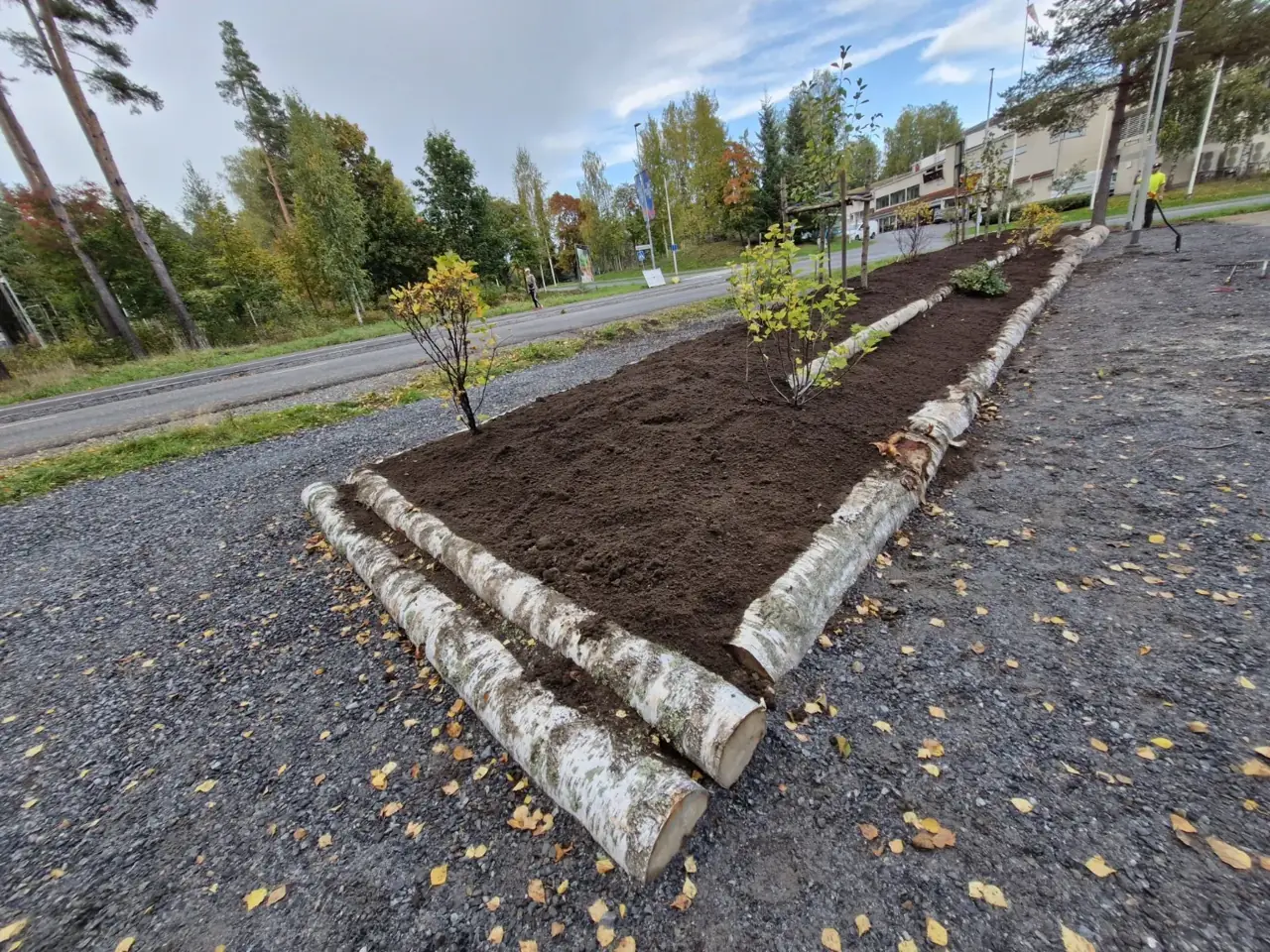 Aistimetsän kasvivalli Valkeakoskella, monivuotisia syötäviä kasveja ja puurakenteet