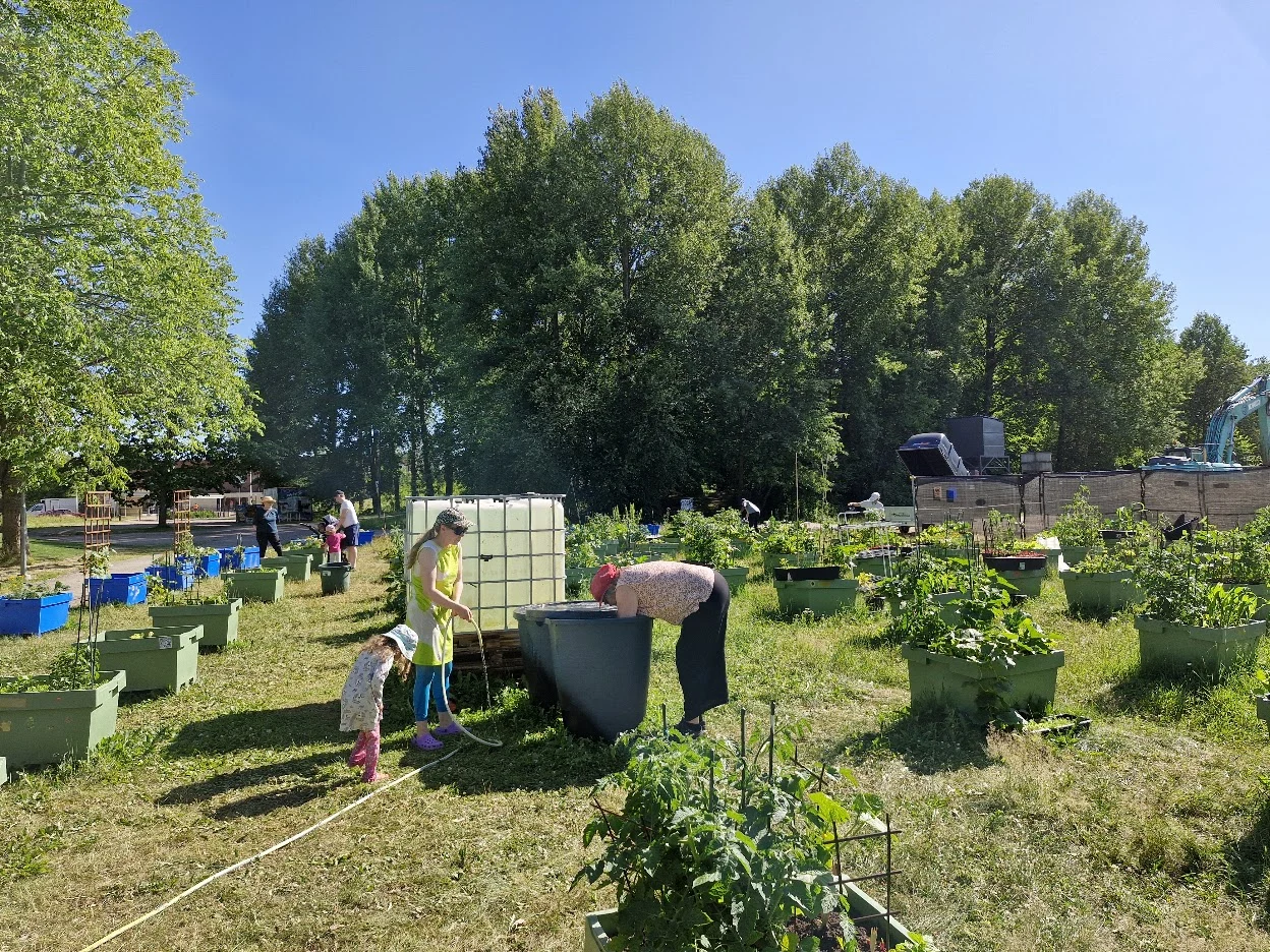 Malminkartanon yhteisöpuutarha — Kuvia projektista 1