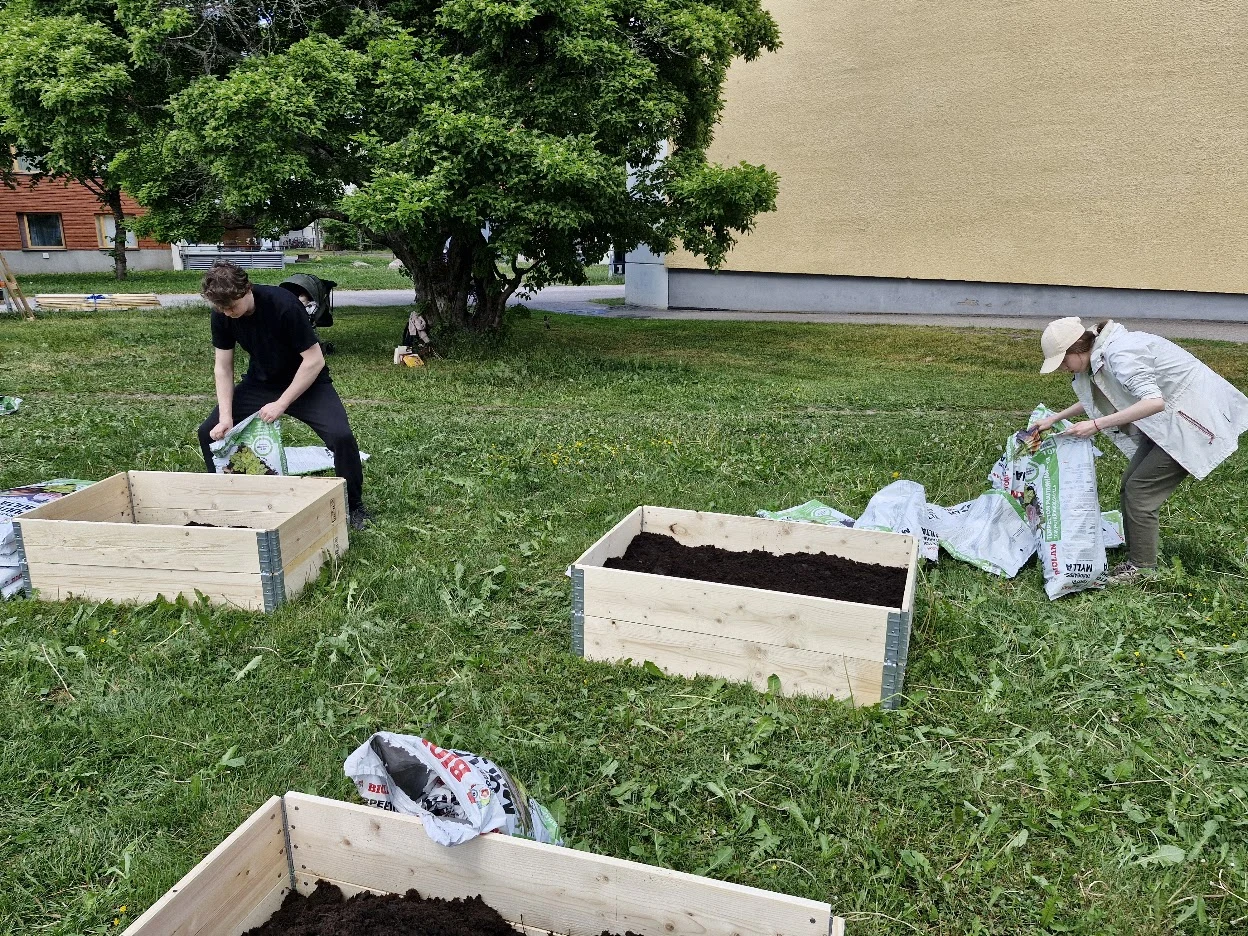 Peltosaaren yhteisöpuutarha — Kuvia projektista 1
