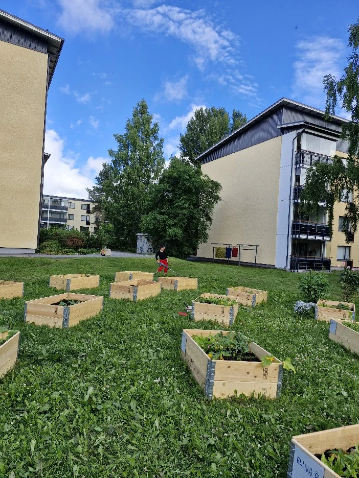 Peltosaaren yhteisöpuutarha — Kuvia projektista 2