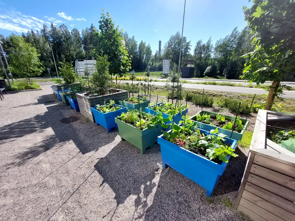 Blokgardenin viljelylaatikoita Circular Green Blocks -pilotissa